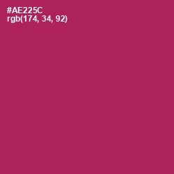 #AE225C - Night Shadz Color Image