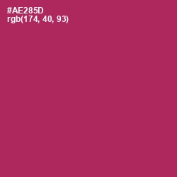 #AE285D - Night Shadz Color Image