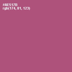 #AE517B - Cadillac Color Image