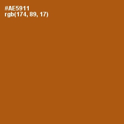 #AE5911 - Fiery Orange Color Image