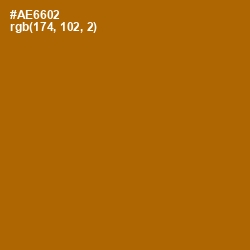 #AE6602 - Mai Tai Color Image