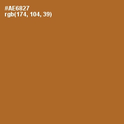 #AE6827 - Desert Color Image