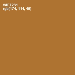 #AE7231 - Copper Color Image