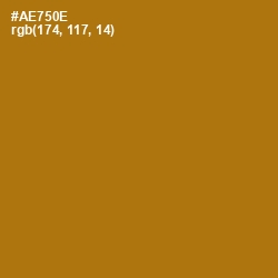 #AE750E - Buttered Rum Color Image
