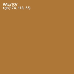 #AE7637 - Copper Color Image