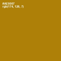 #AE8007 - Hot Toddy Color Image