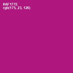#AF177E - Flirt Color Image