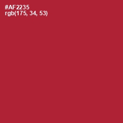 #AF2235 - Tall Poppy Color Image