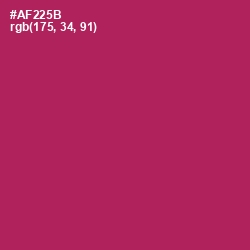 #AF225B - Night Shadz Color Image