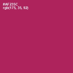 #AF235C - Night Shadz Color Image