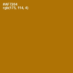#AF7204 - Buttered Rum Color Image