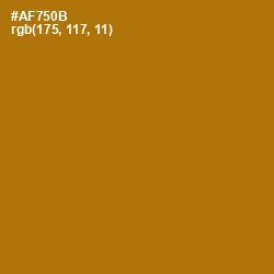 #AF750B - Buttered Rum Color Image