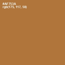 #AF753A - Copper Color Image