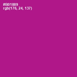 #B01889 - Violet Eggplant Color Image