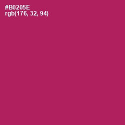 #B0205E - Night Shadz Color Image