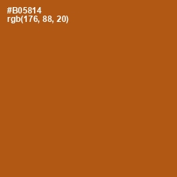 #B05814 - Fiery Orange Color Image