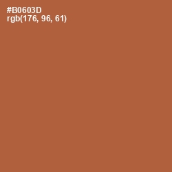 #B0603D - Copper Color Image