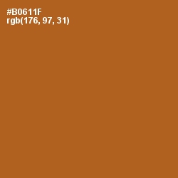 #B0611F - Bourbon Color Image