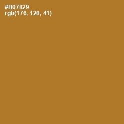 #B07829 - Copper Color Image