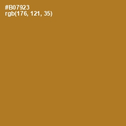 #B07923 - Copper Color Image