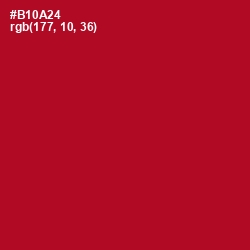 #B10A24 - Shiraz Color Image