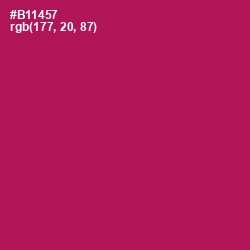 #B11457 - Jazzberry Jam Color Image