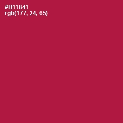 #B11841 - Jazzberry Jam Color Image