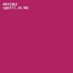 #B12262 - Hibiscus Color Image