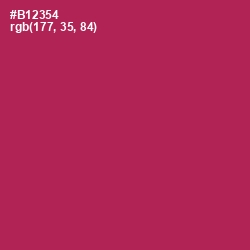 #B12354 - Night Shadz Color Image