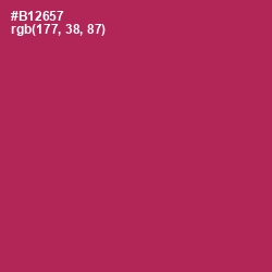 #B12657 - Night Shadz Color Image