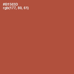 #B1503D - Brown Rust Color Image