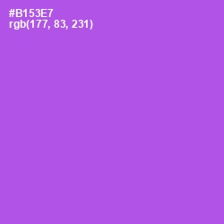 #B153E7 - Amethyst Color Image