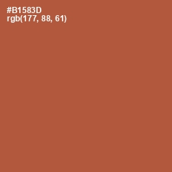 #B1583D - Brown Rust Color Image