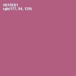#B15E81 - Tapestry Color Image