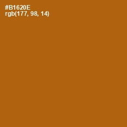 #B1620E - Pumpkin Skin Color Image