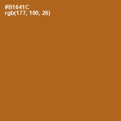 #B1641C - Bourbon Color Image
