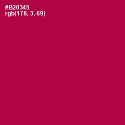 #B20345 - Jazzberry Jam Color Image