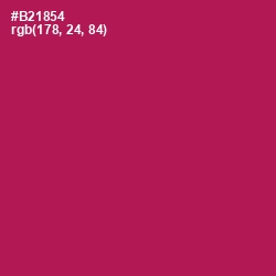#B21854 - Jazzberry Jam Color Image