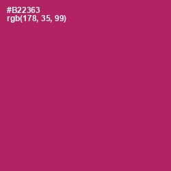 #B22363 - Hibiscus Color Image