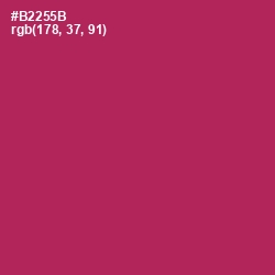 #B2255B - Night Shadz Color Image