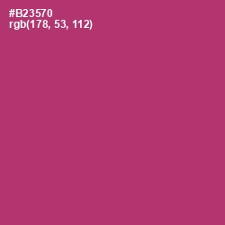#B23570 - Hibiscus Color Image