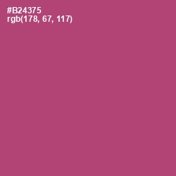 #B24375 - Blush Color Image