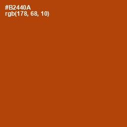 #B2440A - Rust Color Image