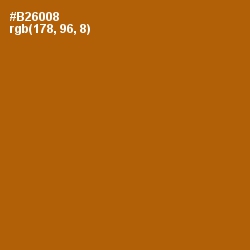#B26008 - Pumpkin Skin Color Image