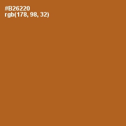 #B26220 - Desert Color Image