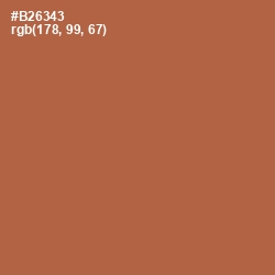 #B26343 - Cape Palliser Color Image