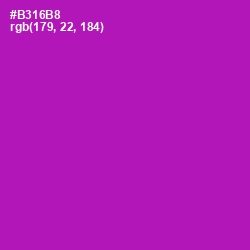 #B316B8 - Violet Eggplant Color Image