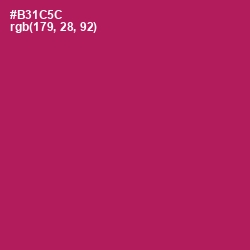 #B31C5C - Jazzberry Jam Color Image