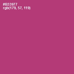 #B33977 - Royal Heath Color Image