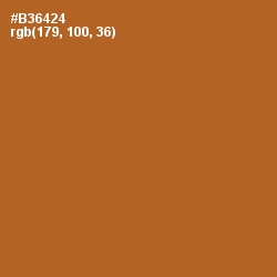 #B36424 - Desert Color Image